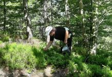 Ndihma për gratë, qendër grumbullimi të produkteve bujqësore në Pukë