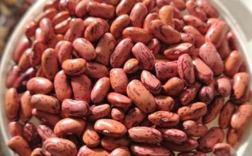 Fasulja e kuqe e veriut/ Vlerat shëndetësore të bishtajores laramane