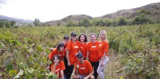 FOTO/ Eksperienca e veçantë, 40 studentë i shtrohen punës për dy javë në 42 fshatra