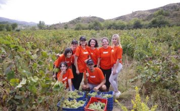 FOTO/ Eksperienca e veçantë, 40 studentë i shtrohen punës për dy javë në 42 fshatra