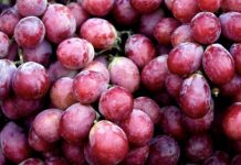 Vlerat shëndetësore të rrushit të kuq kundër plakjes së parakohshme