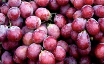 Vlerat shëndetësore të rrushit të kuq kundër plakjes së parakohshme