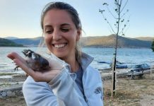 Projekti i PPNEA, përfundon unazimi i shpendëve në Parkun Kombëtar të Prespës (FOTO)