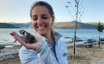 Projekti i PPNEA, përfundon unazimi i shpendëve në Parkun Kombëtar të Prespës (FOTO)