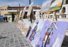 FOTO/ 45 piktorë hedhin në telajo “vjeshtën e artë në Kolonjë