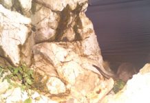 FOTO – Evidentohet prania e lundërzës në 28 pika në liqenet e Prespës