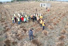 FOTOT/ Mbillen 9 mijë pemë në zonën e Përroit të Thatë