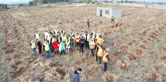 FOTOT/ Mbillen 9 mijë pemë në zonën e Përroit të Thatë