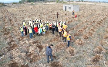 FOTOT/ Mbillen 9 mijë pemë në zonën e Përroit të Thatë