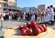 FOTO/ “ShegaFest”, promovim i produkteve vendase në Lezhë