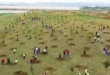 FOTOT – Mbillen 1500 pemë të reja në Paskuqan