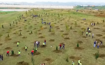 FOTOT – Mbillen 1500 pemë të reja në Paskuqan