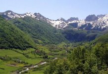 Në Shkrel, aty ku natyra është treguar e pakursyer! Një guidë në pyllin e gështenjave shekullore