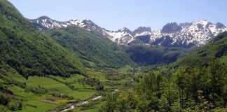 Në Shkrel, aty ku natyra është treguar e pakursyer! Një guidë në pyllin e gështenjave shekullore