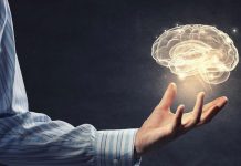 Shëndeti i mirë i trurit, 5 këshilla praktike për kujtesë të mprehtë