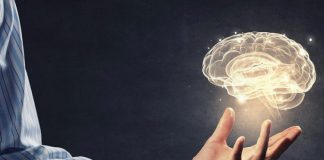 Shëndeti i mirë i trurit, 5 këshilla praktike për kujtesë të mprehtë