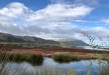 FOTOT/ Laguna e Orikumit, një oaz bukurie i natyrës dhe një ‘parajsë’ për zogjtë