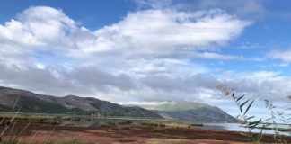 FOTOT/ Laguna e Orikumit, një oaz bukurie i natyrës dhe një ‘parajsë’ për zogjtë