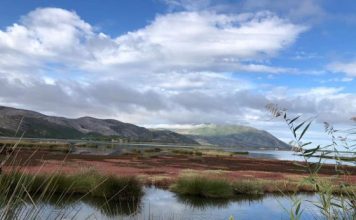 FOTOT/ Laguna e Orikumit, një oaz bukurie i natyrës dhe një ‘parajsë’ për zogjtë