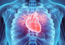 Këshillat që duhen ndjekur për të pasur një zemër të shëndetshme