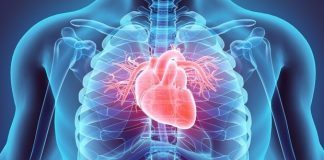 Këshillat që duhen ndjekur për të pasur një zemër të shëndetshme