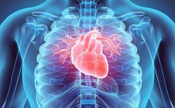 Këshillat që duhen ndjekur për të pasur një zemër të shëndetshme