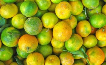 Mandarinat e gjelbra shqiptare, vlerat e jashtëzakonshme shëndetësore