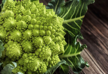 Çfarë është Romaneska, perimja e re dhe e veçantë e fermave shqiptare