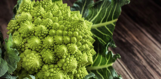 Çfarë është Romaneska, perimja e re dhe e veçantë e fermave shqiptare