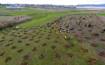 FOTOT/ 2 mijë pemë të tjera i shtohen Parkut të Liqenit në Paskuqan