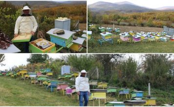 PROFIL/ Aliu nga Hasi, e nisi me 3 koshere bletësh dhe sot ka 120