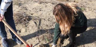 FOTOT/ Mbillen 1 000 pisha të buta në Parkun Kombëtar Divjakë-Karavasta