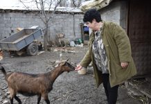 Njihuni me Ivanën, një fermere e suksesshme dhe grua frymëzuese