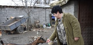 Njihuni me Ivanën, një fermere e suksesshme dhe grua frymëzuese