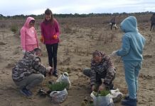 Mbillen rreth 1500 pisha dhe pastrohen 1 ton mbetje në parkun kombëtar Divjakë-Karavasta