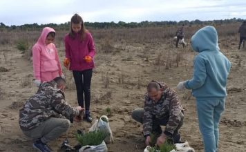 Mbillen rreth 1500 pisha dhe pastrohen 1 ton mbetje në parkun kombëtar Divjakë-Karavasta