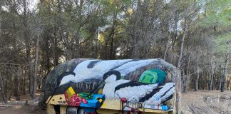 FOTOT/ “BUNKBIRD” NE PEIZAZHIN E MBROJTUR VJOSË – NARTË