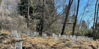 FOTOT/ Eksperiment shkencor në Parkun Kombëtar Dajt