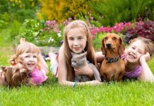 8 arsye se pse fëmijët duhet të kenë patjetër një kafshë shtëpiake