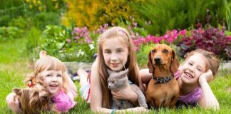 8 arsye se pse fëmijët duhet të kenë patjetër një kafshë shtëpiake