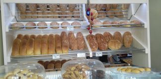 Sigurojnë 1/3 e nevojave për bukë/ Ja tre qarqet e Shqipërisë që kryesojnë në prodhimin e drithërave