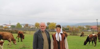 FRYMEZUESE/ Njihuni me Abdylin dhe Rushen nga Hasi, kanë 33 lopë dhe 230 dhi