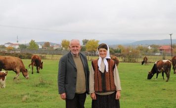 FRYMEZUESE/ Njihuni me Abdylin dhe Rushen nga Hasi, kanë 33 lopë dhe 230 dhi