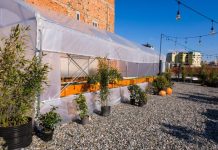 ‘Shkollë Urbane Bujqësore’ në qendër të Tiranës, projekti do të pajisë të rinjtë me aftësi bujqësore