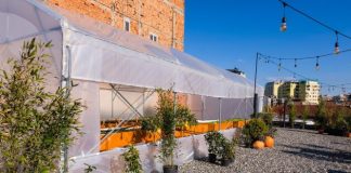 ‘Shkollë Urbane Bujqësore’ në qendër të Tiranës, projekti do të pajisë të rinjtë me aftësi bujqësore