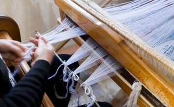 FOTOT/ Zadrima, zemra e zejtarisë në Shqipëri