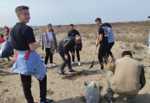 FOTOT/ Mbillen rreth 2500 pisha në Divjakë-Karavasta