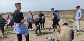 FOTOT/ Mbillen rreth 2500 pisha në Divjakë-Karavasta