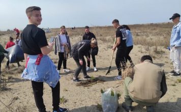 FOTOT/ Mbillen rreth 2500 pisha në Divjakë-Karavasta