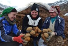 BE ndihmon dhe financon 360 fermerë në zonën e Librazhdit